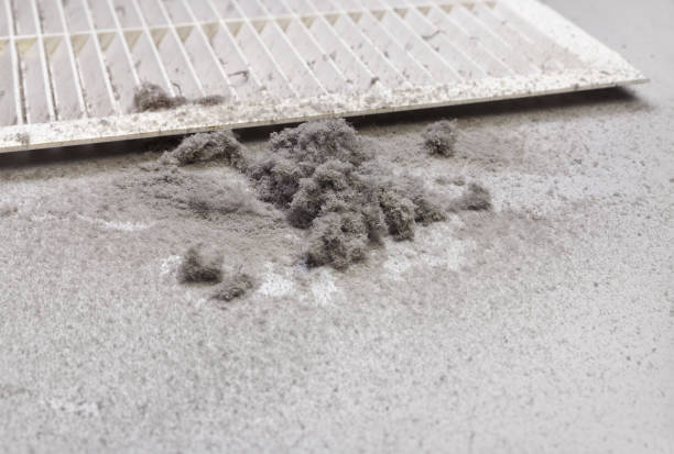Best Local Air Duct Cleaning Services  in Oliver Springs, TN