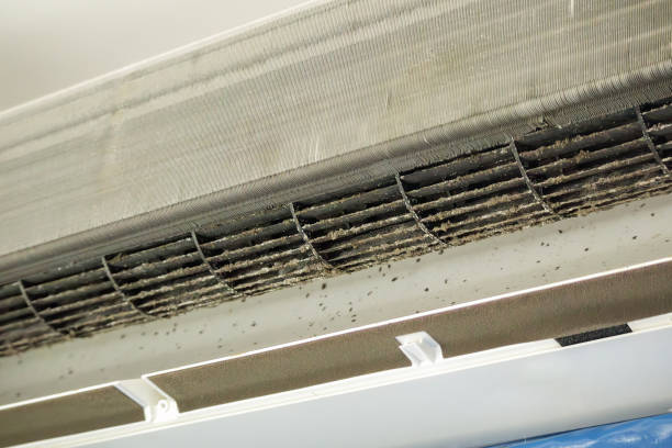 Best Residential Air Duct Cleaning  in Oliver Springs, TN